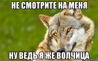 не смотрите на меня ну ведь я же волчица