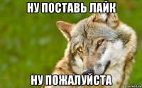 ну поставь лайк ну пожалуйста