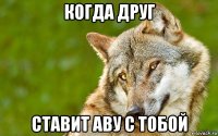 когда друг ставит аву с тобой