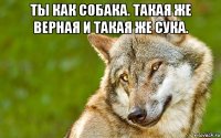 ты как собака. такая же верная и такая же сука. 