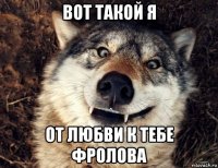 вот такой я от любви к тебе фролова