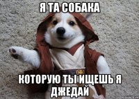 я та собака которую ты ищешь я джедай