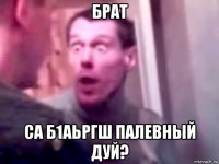 брат са б1аьргш палевный дуй?