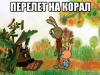 перелет на корал 