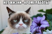 нет жизни - кроме работы 