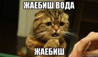жаебиш вода жаебиш