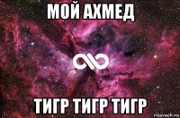 мой ахмед тигр тигр тигр