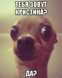 тебя зовут кристина? да?