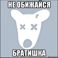 не обижайся братишка