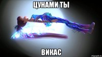 цунами ты викас
