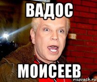 вадос моисеев