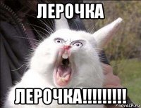 лерочка лерочка!!!!!!!!!