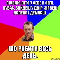 люблю літо у себе в селі. буває, вийдеш у двір, зірвеш яблуко і думаєш, шо робити весь день.