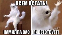 всем встать! камилла вас приветствует!