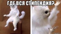 где вся стипендия? 