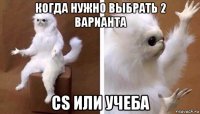 когда нужно выбрать 2 варианта cs или учеба