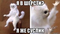 я в шерсти? я же суслик