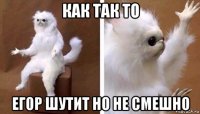 как так то егор шутит но не смешно