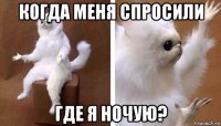 когда меня спросили где я ночую?