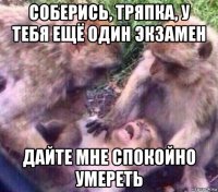 соберись, тряпка, у тебя ещё один экзамен дайте мне спокойно умереть