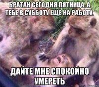 братан сегодня пятница, а тебе в субботу еще на работу. дайте мне спокойно умереть