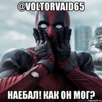 @voltorvaid65 наебал! как он мог?