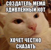 создатель мема удивленный кот хочет честно сказать