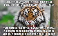 я порву тебя на части бо я тигр хочеш остаться жить давай сюда свои потроха тигр опасное животное раздирает человека до костей если ви к нему попали значит ви уже обед он вас не пожалеет для него ви еда