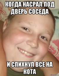 когда насрал под дверь соседа и спихнул все на кота