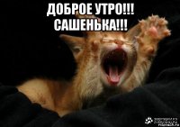 доброе утро!!! сашенька!!! 
