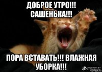 доброе утро!!! сашенька!!! пора вставать!!! влажная уборка!!!