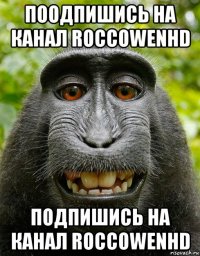 поодпишись на канал roccowenhd подпишись на канал roccowenhd