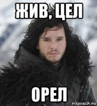 жив, цел орел