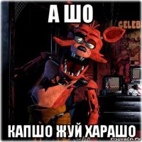 а шо капшо жуй харашо