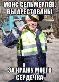 монс сельмерлёв, вы арестованы за кражу моего сердечка