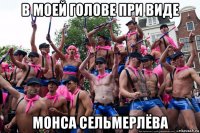 в моей голове при виде монса сельмерлёва