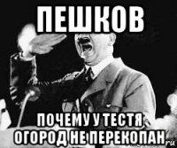 пешков почему у тестя огород не перекопан