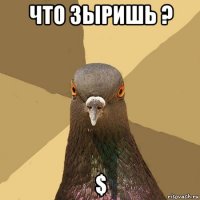 что зыришь ? $