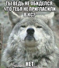 ты ведь не обиделся, что тебя не пригласили в кс? нет