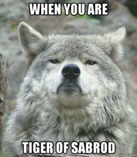 when you are tiger of sabrod