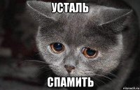 усталь спамить