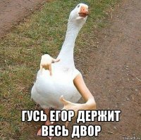  гусь егор держит весь двор