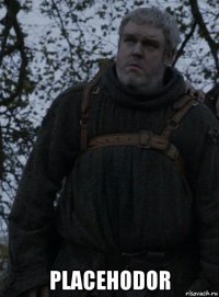  placehodor
