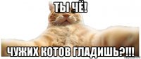 ты чё! чужих котов гладишь?!!!