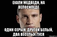 ехали медведи, на велосипеде один серый, другой белый, два весёлых гуся