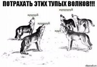 ПОТРАХАТЬ ЭТИХ ТУПЫХ ВОЛКОВ!!!