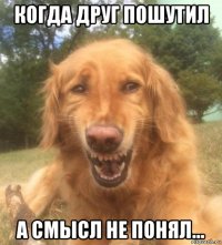 когда друг пошутил а смысл не понял...