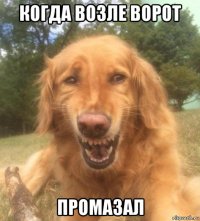 когда возле ворот промазал