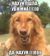 нахуй пшла, увжмйа)))))0 да, нахуй )))000