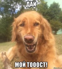 дай мой тооост!